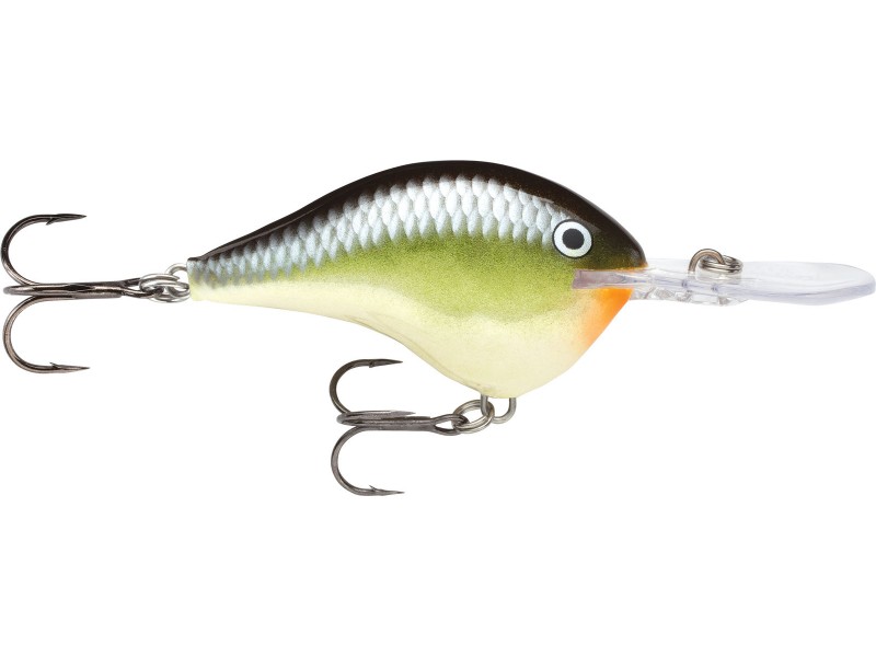 leurre-rapala-dt-dives-to-series-50mm-smsh.jpg