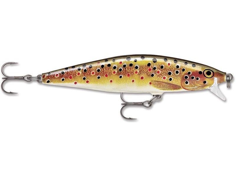leurre-rapala-flat-rap-80mm-6-tr.jpg