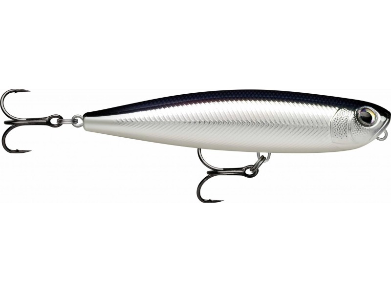 leurre-rapala-precision-xtreme-pencil-107mm-4-eb.jpg