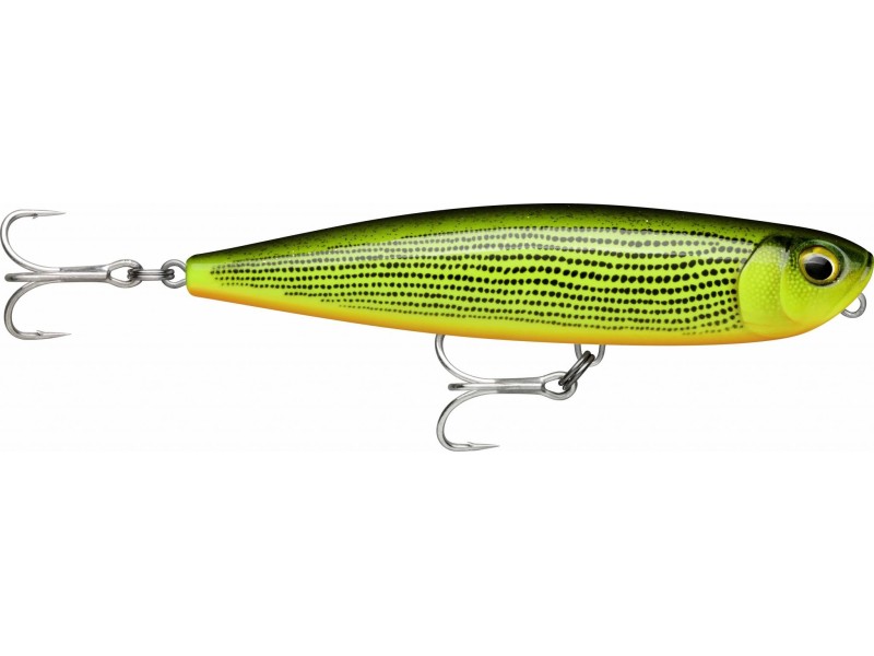 leurre-rapala-precision-xtreme-pencil-exo-107mm-2-gdr.jpg