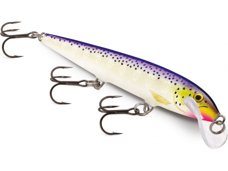 leurre-rapala-scatter-rap-minnow-110mm-13-sfc.jpg