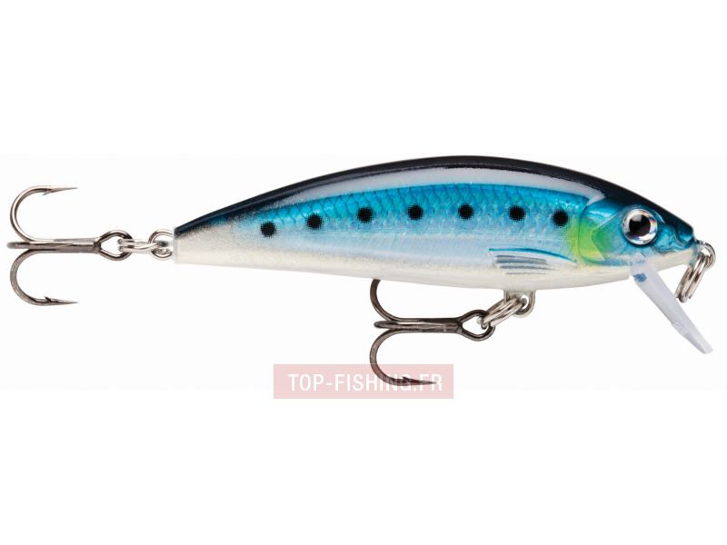 leurre-rapala-x-rap-countdown-bsrd.jpg