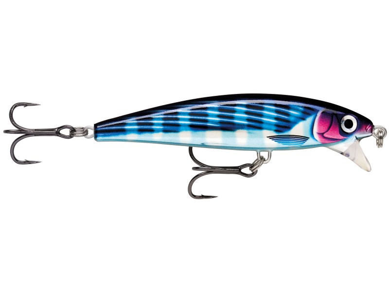leurre-rapala-x-rap-magnum-100mm-9-hdbto.jpg