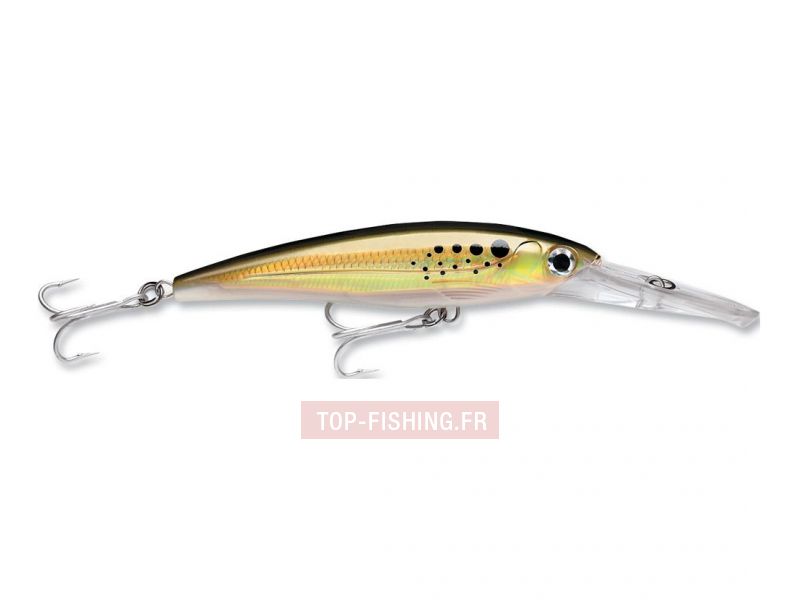 leurre-rapala-x-rap-magnum-bnk.jpg