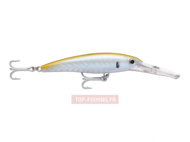 leurre-rapala-x-rap-magnum-gosc.jpg