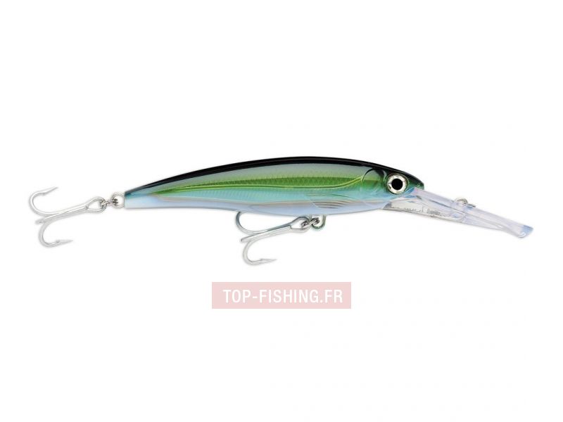 leurre-rapala-x-rap-magnum-yft.jpg