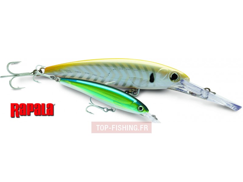 leurre-rapala-x-rap-magnum.jpg
