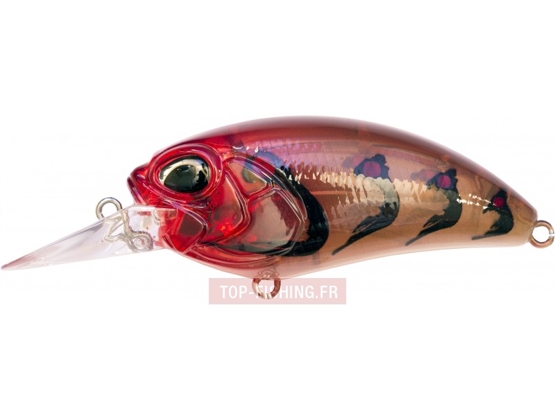 leurre-realis-crank-m62-5a-couleur-ccc3014.jpg