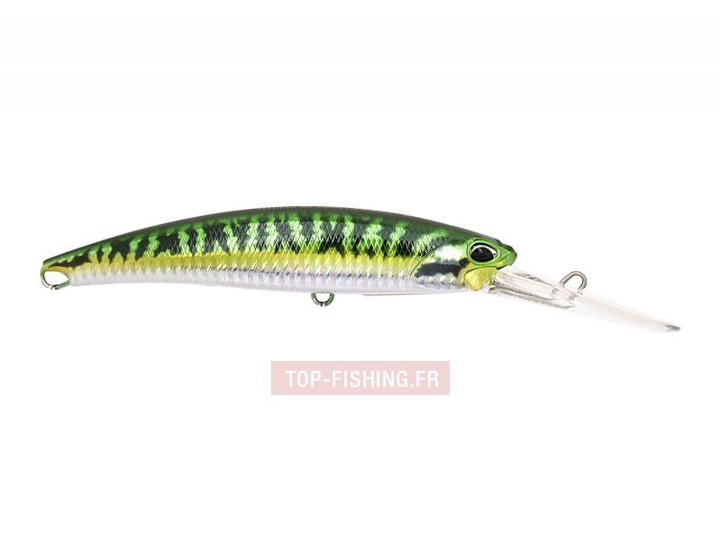 leurre-realis-fangbait-dr-sw-120mm-aha0263-green-mackerel.jpg