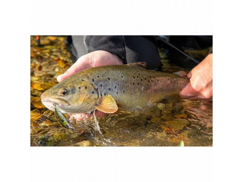 leurre-savage-gear-3d-sticklebait-twitch-coulant-55mm-10.jpg