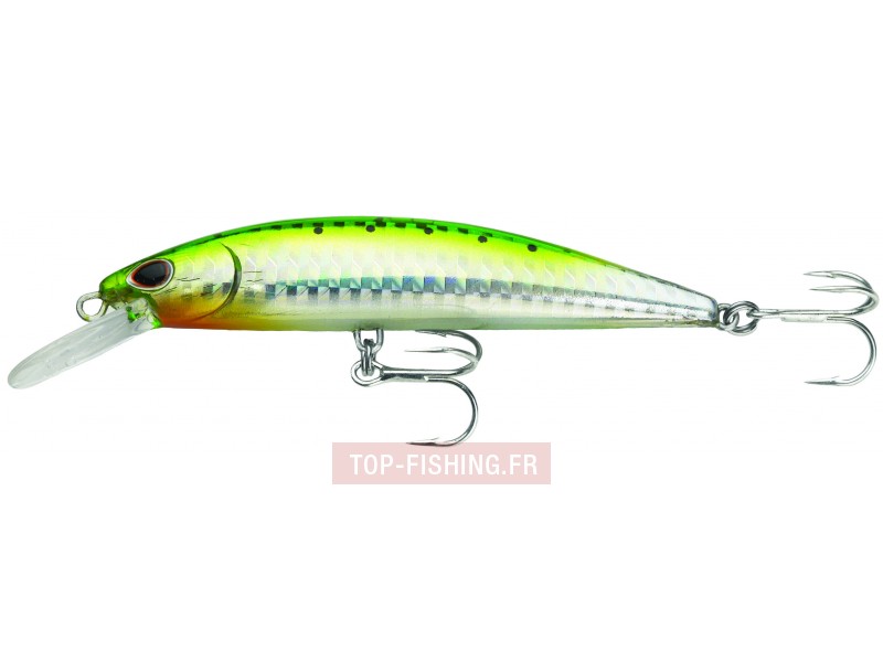 leurre-so-run-heavy-minnow-couleur-green-sardine.jpg