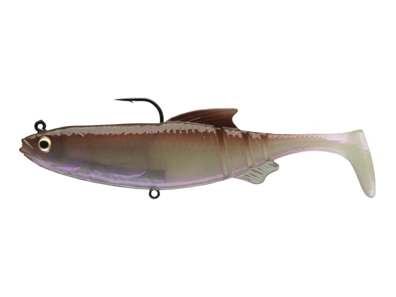 Leurre Souple Armé Daiwa Prorex Lazy Roach Rd 120mm-WAKASAGI