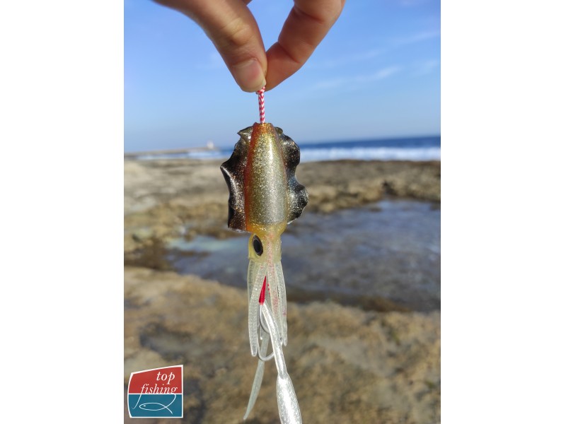 leurre-souple-arme-top-fishing-assistcuttle-6.jpg