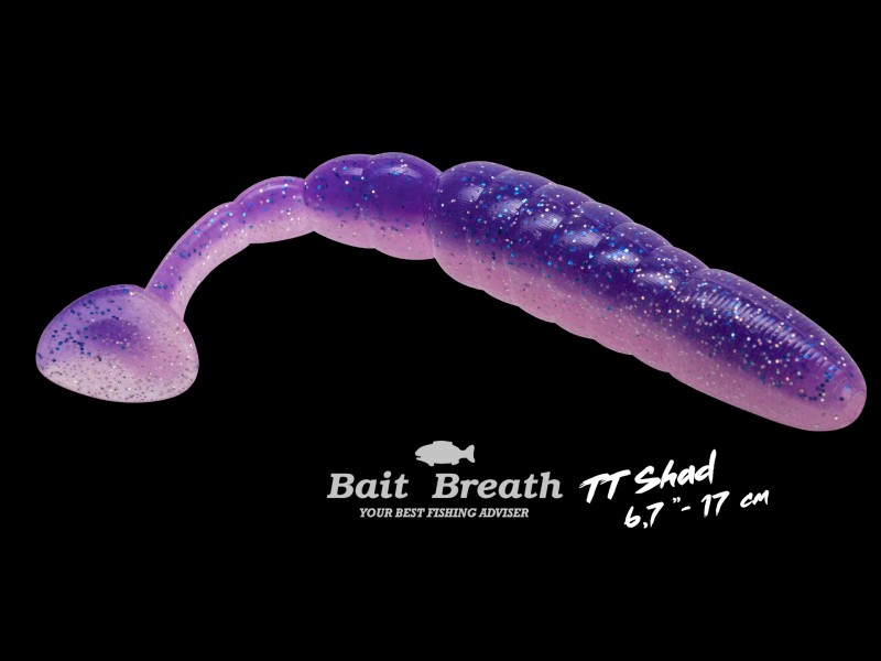 leurre-souple-bait-breath-et-shad-169mm-7.jpg