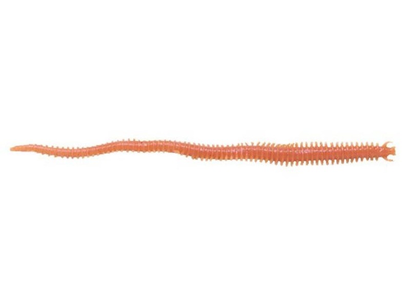 leurre-souple-berkley-gulp-saltwater-sandworm-1109380-Natural