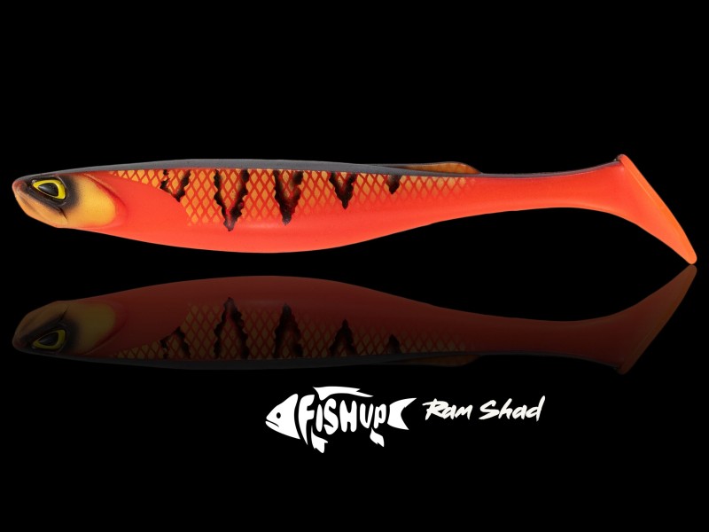 leurre-souple-fishup-ram-shad-203mm-11.jpg