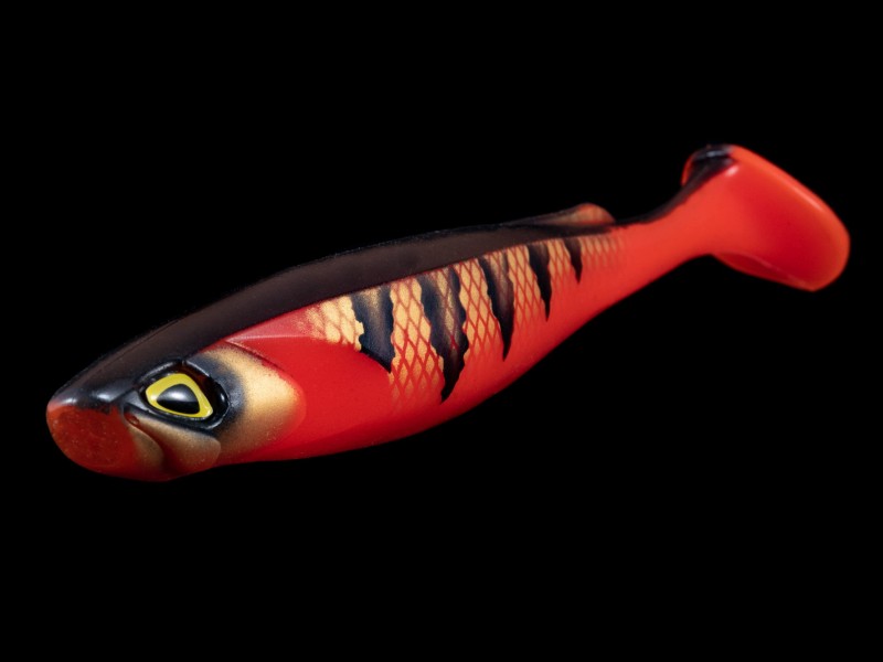 leurre-souple-fishup-ram-shad-203mm-12.jpg