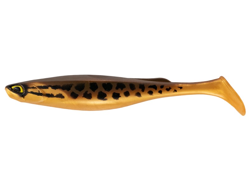 Leurre Souple Fishup Ram Shad 228mm-360