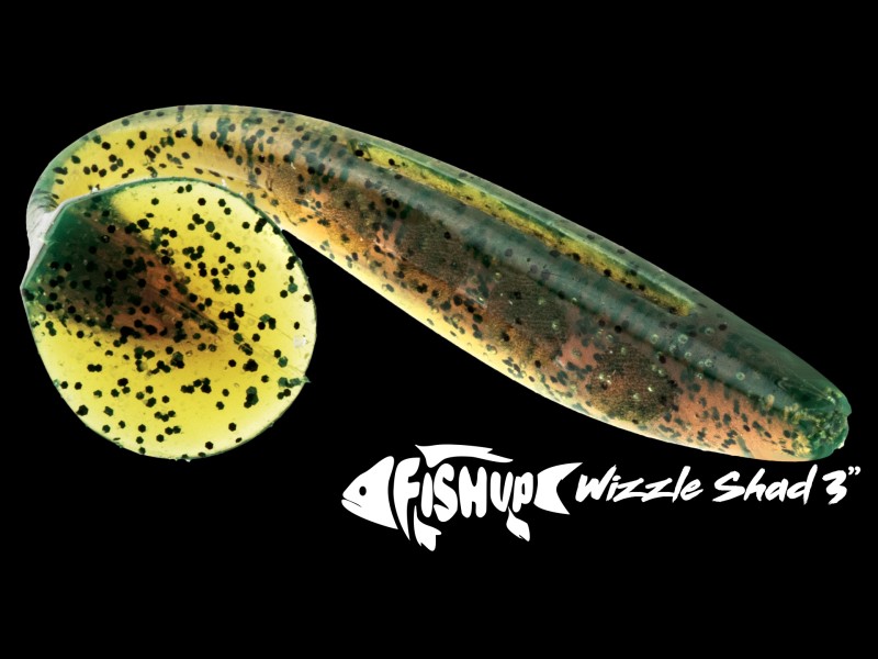 leurre-souple-fishup-wizzle-shad-50mm-13.jpg