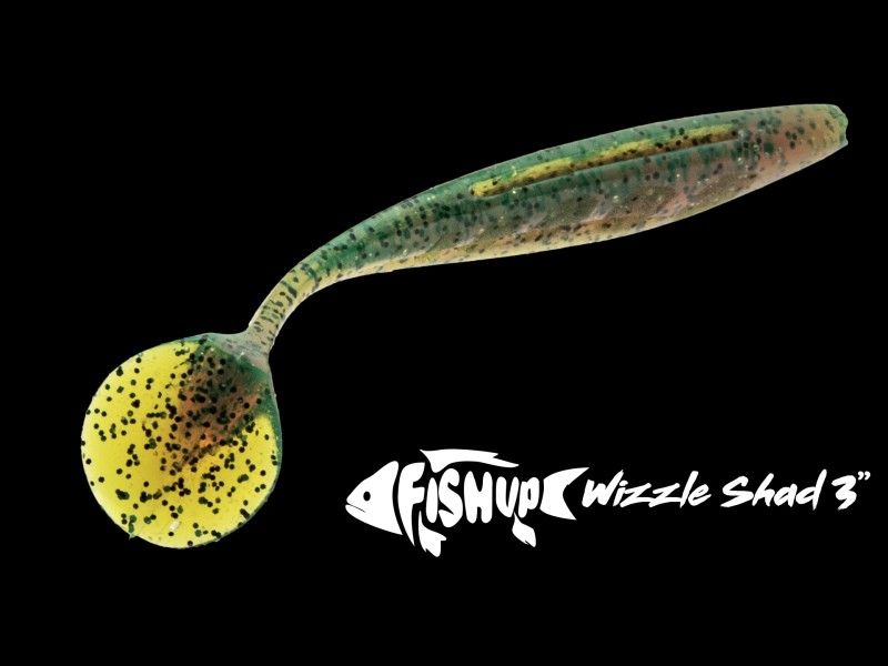 leurre-souple-fishup-wizzle-shad-50mm-14.jpg