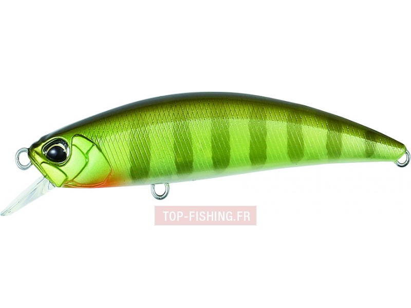leurre-spearhead-ryuki-couleur-ccc3055.jpg
