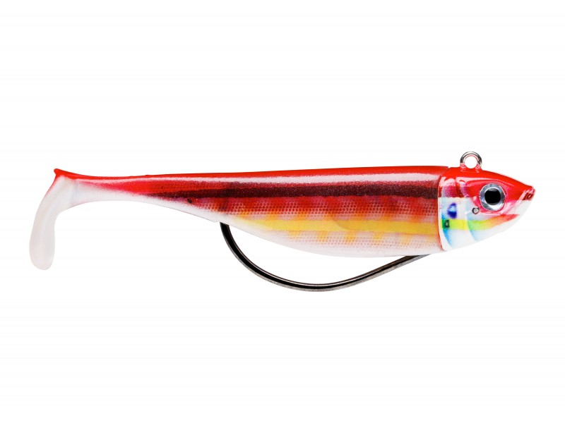 leurre-storm-360gt-biscay-deep-shad-150mm-15-rainbow-wrasse.jpg