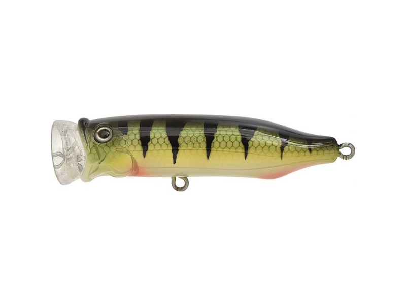 leurre-tackle-house-feed-popper-70-9-perch.jpg