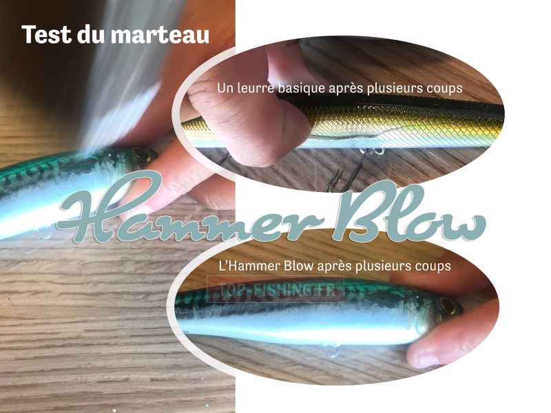 leurre-top-sea-hammer-blow-test-coup-de-marteau.jpg