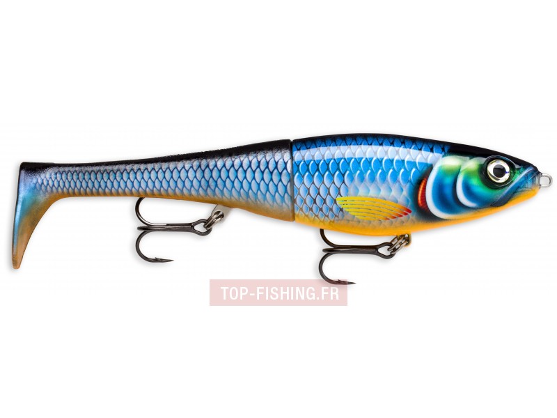 leurre-x-rap-peto-200mm-couleur-bgh.jpg