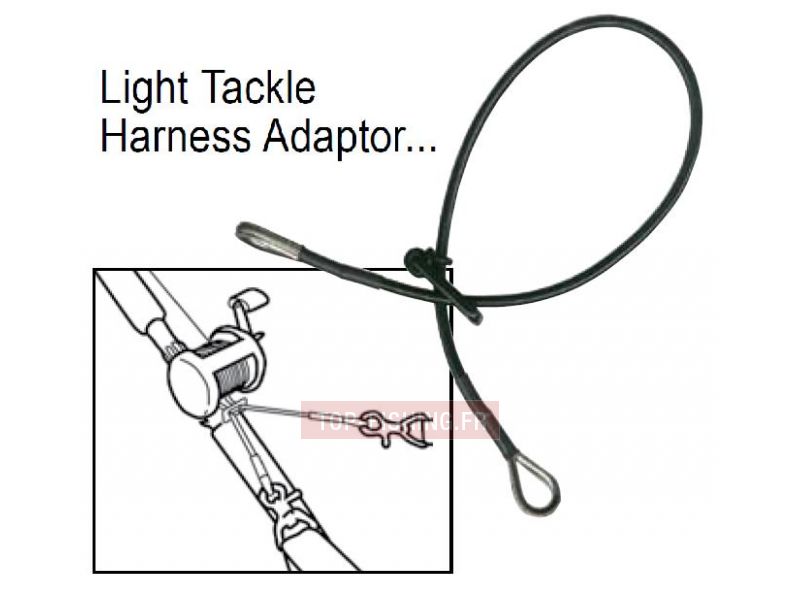 lighttakle.jpg