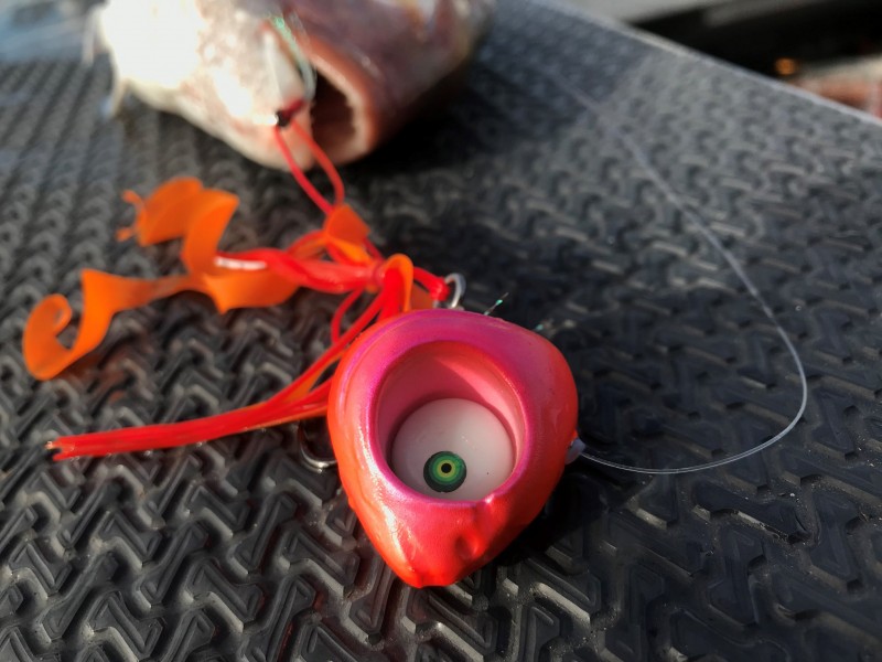 mada-glowbite-grumpy-fish-140g-2.jpg