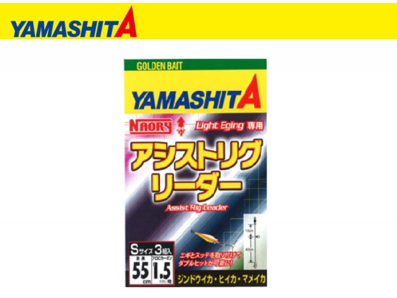montage-yamashita-naory-assist-rig-leader-4.jpg