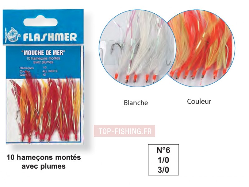 mouches-de-mer-flashmer-3-0.jpg