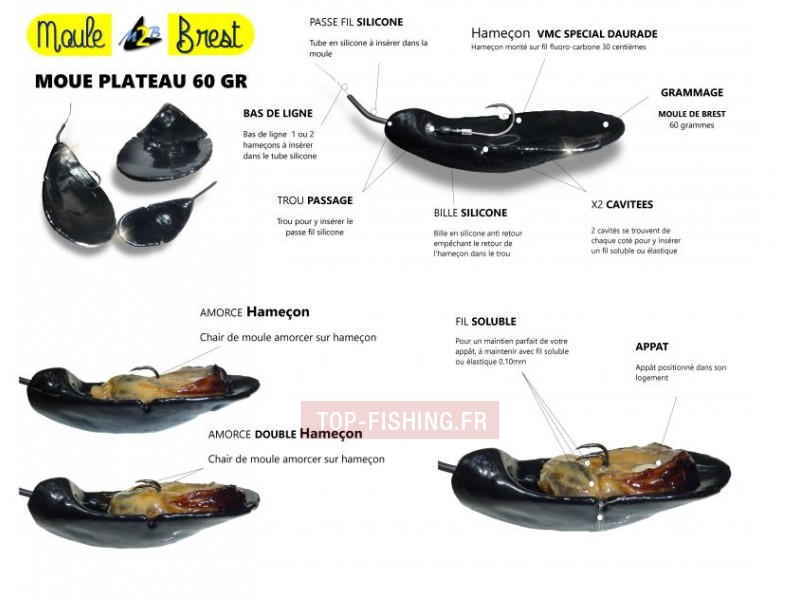 moule-plombee-de-brest-60gr.jpg
