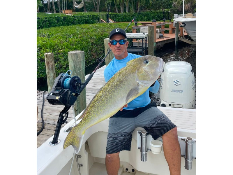 Moulinet électrique Kristal Fishing XG 250 en exo