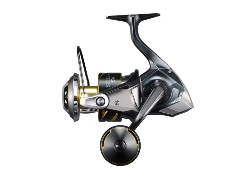 Moulinet Shimano Stella SW D-STLSW8000PGD