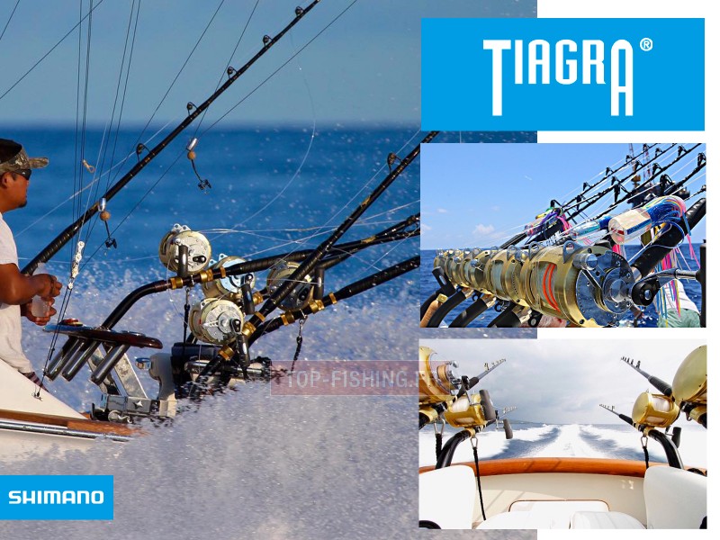 moulinet-shimano-tiagra-en-peche-4.jpg