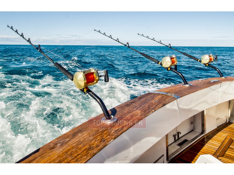 moulinet-shimano-tiagra-en-peche.jpg