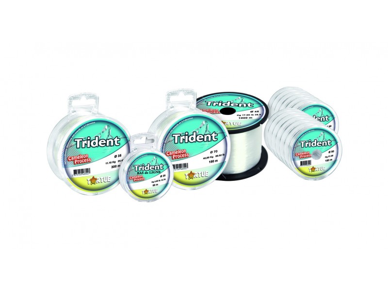 nylon-tortue-trident-special-bas-de-ligne-50m.jpg