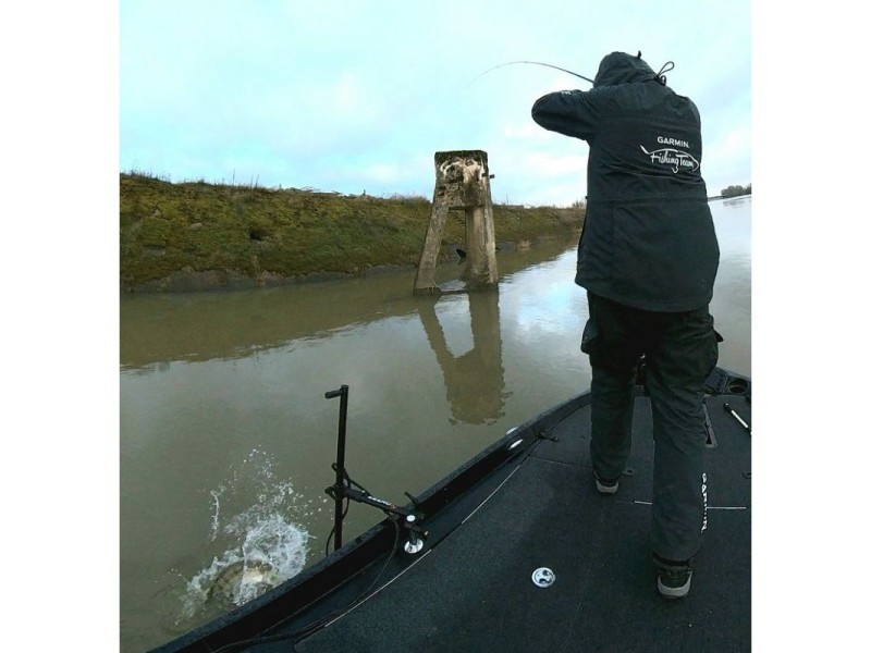 Perche De Sonde Live Seanox