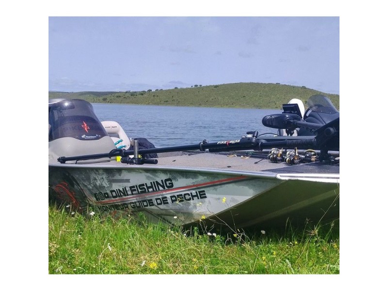 Perche De Sonde Live Seanox