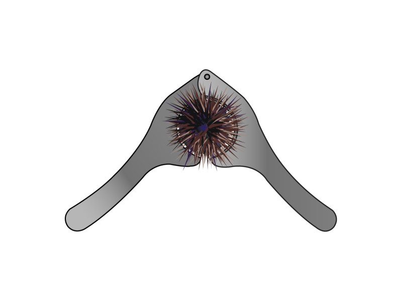 pince-a-oursin-flashmer-pro.jpg