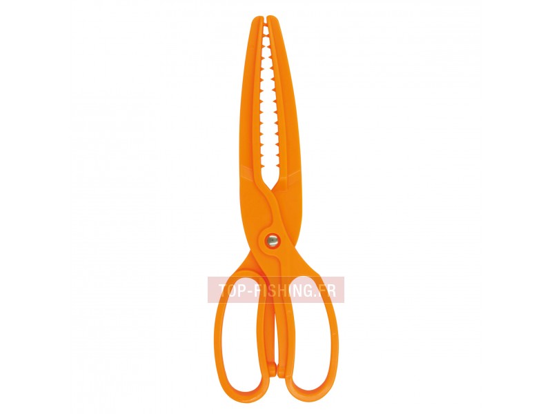 pince-a-vive-et-anguille-25-cm.jpg