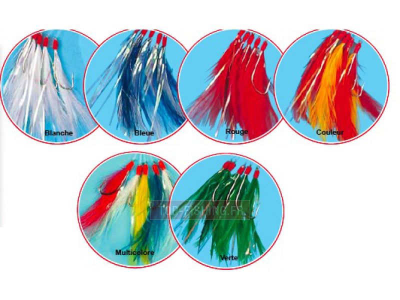 plumes-filements.jpg