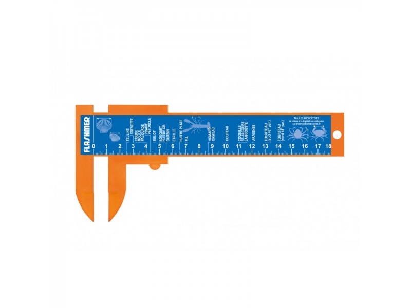 regles-mesure-flashmer-coquillages-et-crustace-18-cm.jpg