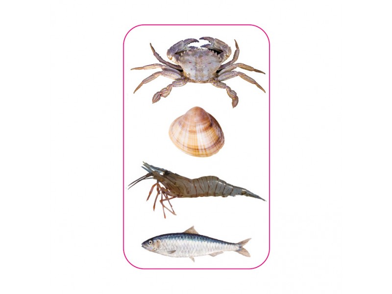 sac-a-poisson-et-coquillage-flashmer-2.jpg
