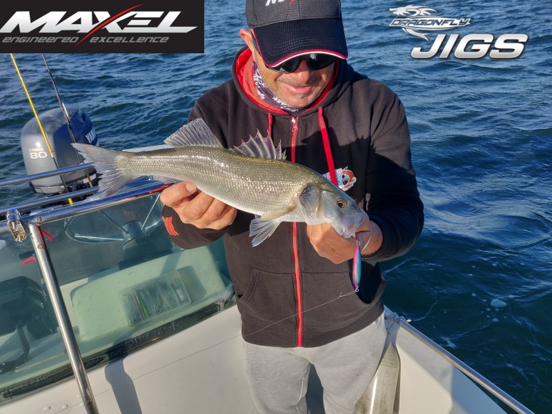 slow-jig-maxel-dragonfly-20g-3.jpg