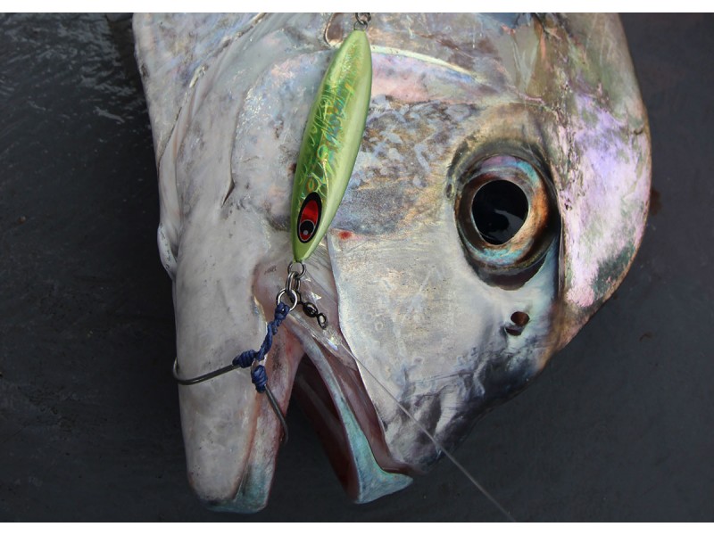 slow-jig-maxel-drunker-jigs-40g-8.jpg