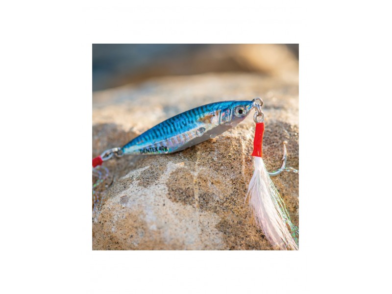 slow-jig-top-fishing-dentex-jig-30g-2.jpg