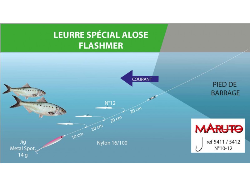 special-alose-flashmer-3.jpg